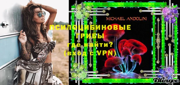 тгк Горнозаводск