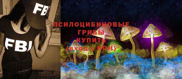 тгк Горнозаводск