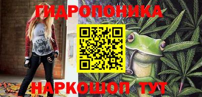 прущие крисы Будённовск