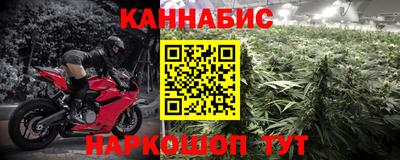 прущие крисы Будённовск