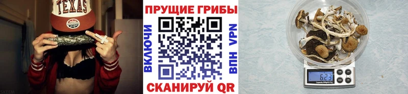 Псилоцибиновые грибы Cubensis  купить  сайты  OMG вход  Гуково 
