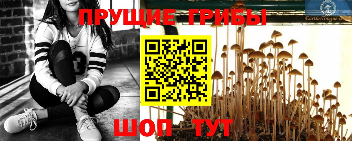 Галлюциногенные грибы Magic Shrooms Гуково
